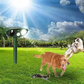 Répulsif Solaire Ultrasonique pour Animaux