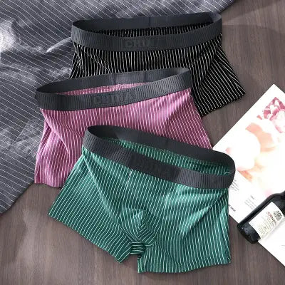Pack 3 Boxers en Coton Confort Pour Homme