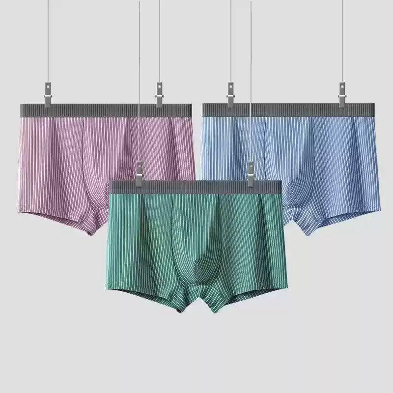 Pack 3 Boxers en Coton Confort Pour Homme