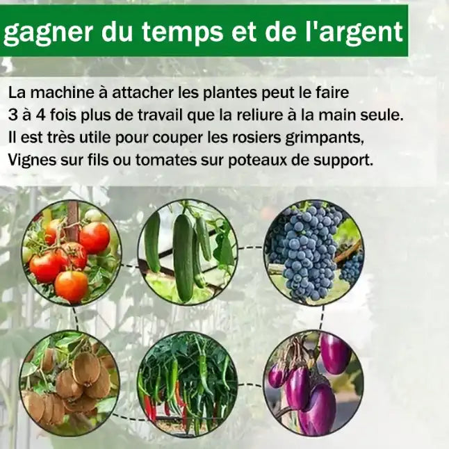 Attacheuse de Plantes Pro