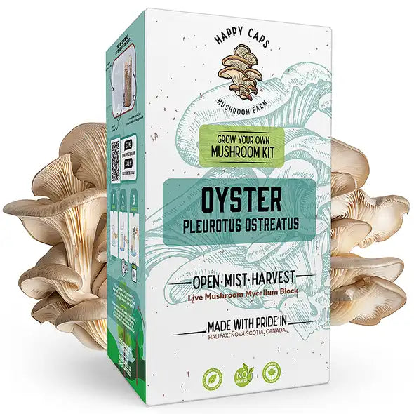 Kit de Culture de Champignons à la Maison