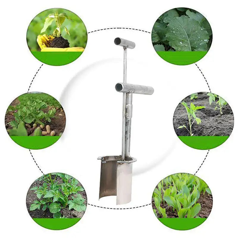 Transplanteur de semis de plantes en acier inoxydable