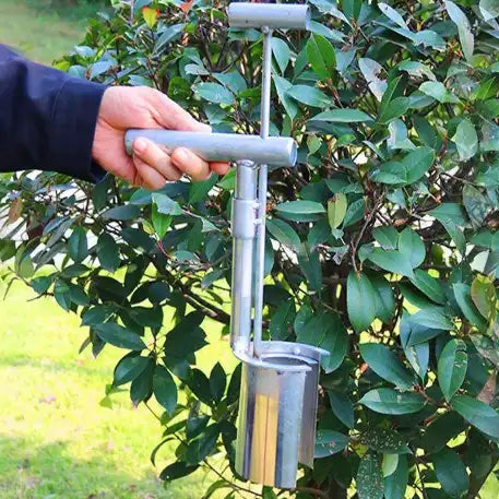 Transplanteur de semis de plantes en acier inoxydable