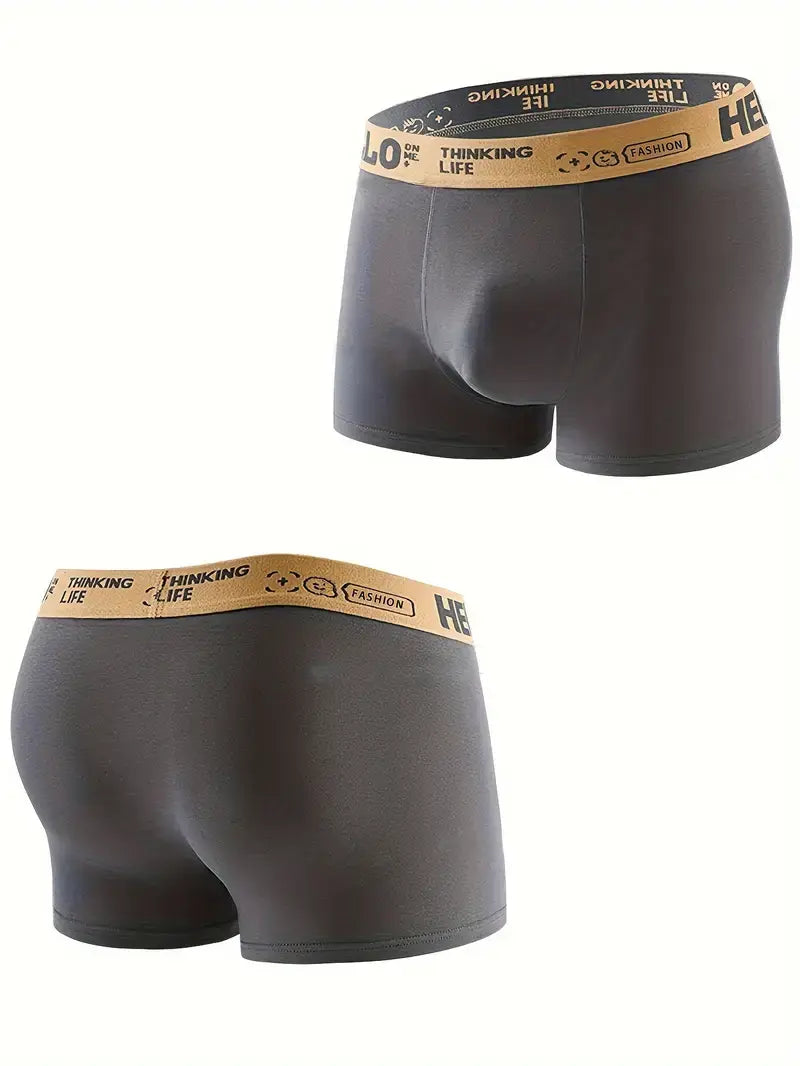 Lot de 5 Caleçons Boxeurs pour Hommes