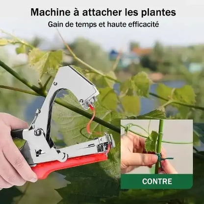 Attacheuse de Plantes Pro