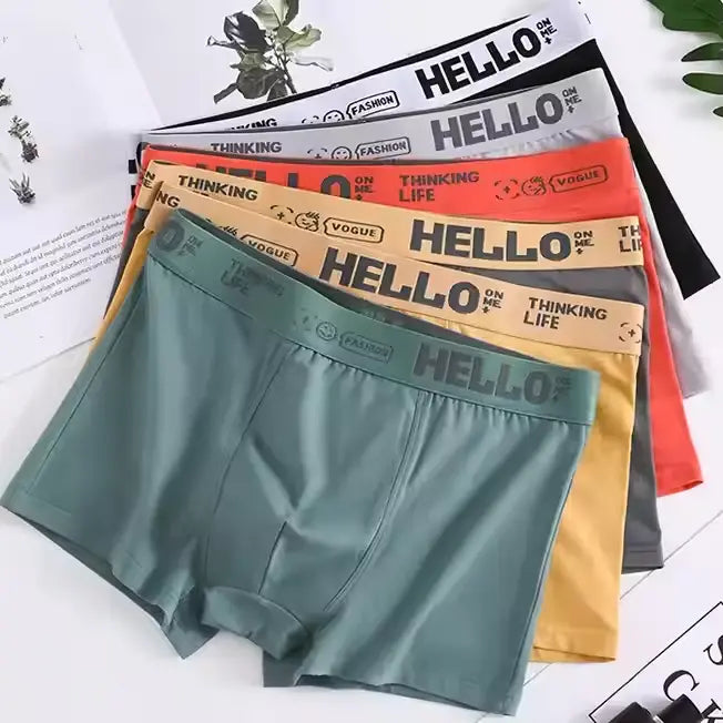 Lot de 5 Caleçons Boxeurs pour Hommes