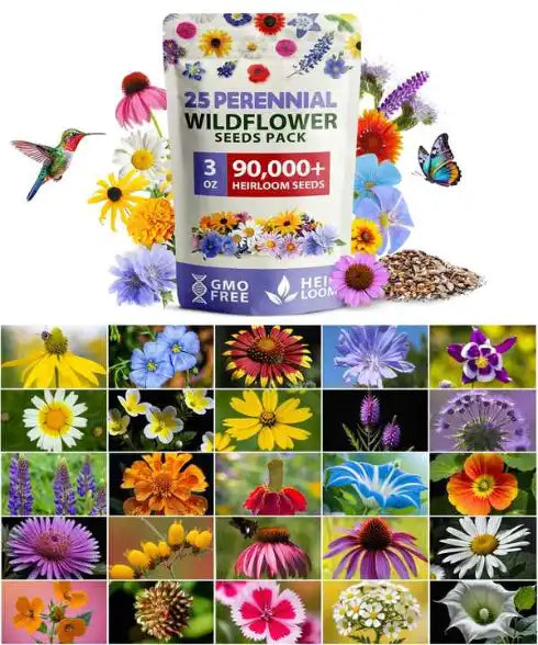 Lot de 25 Graines de Fleurs Sauvages Pures