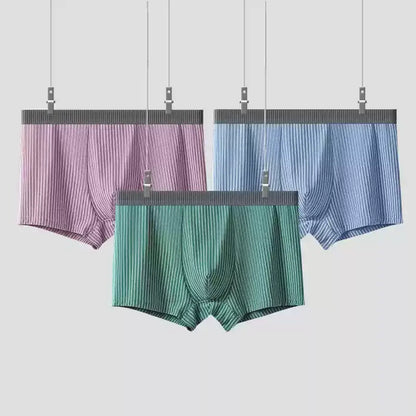 Pack 3 Boxers en Coton Confort Pour Homme