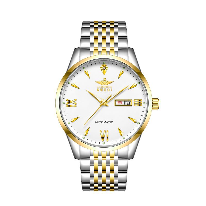 Montre Mécanique Prestige pour Homme