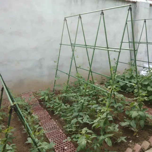 Support de Culture pour Légumes et Plantes Grimpantes