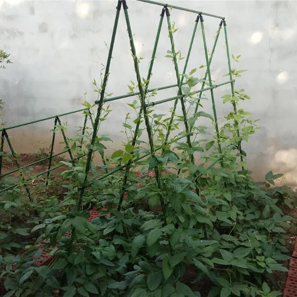 Support de Culture pour Légumes et Plantes Grimpantes