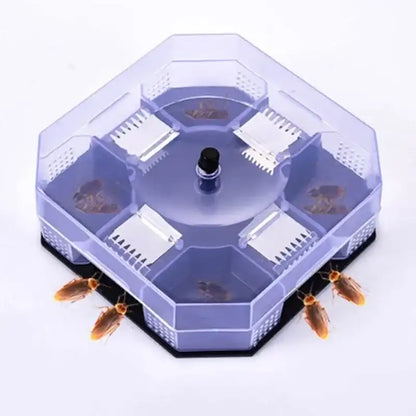 Piège à Cafards Non Toxique Réutilisable