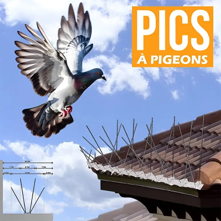 Pics de Protection Contre les Oiseaux