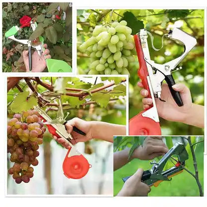 Attacheuse de Plantes Pro